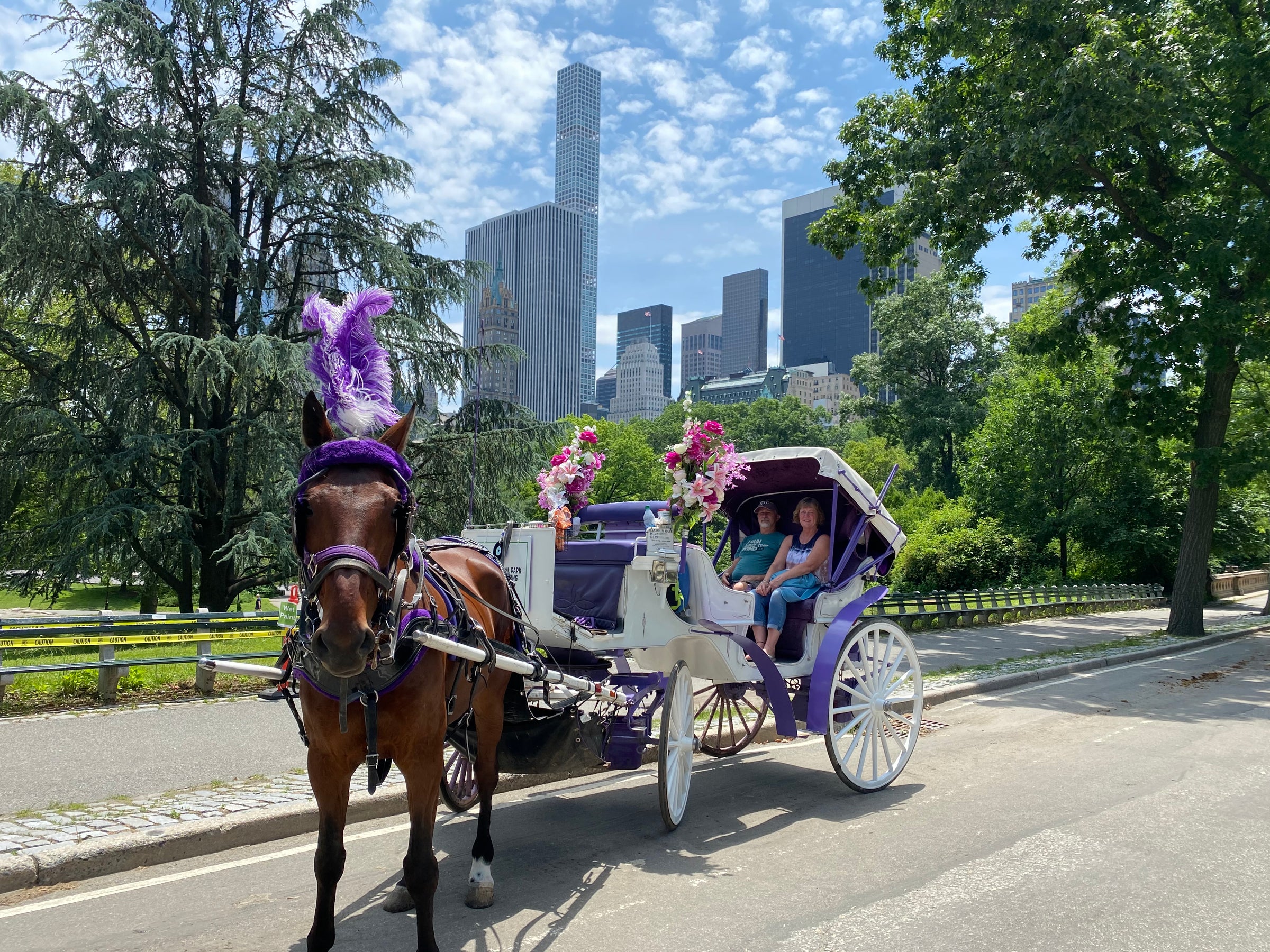 Central Park Horse Carriage Rides